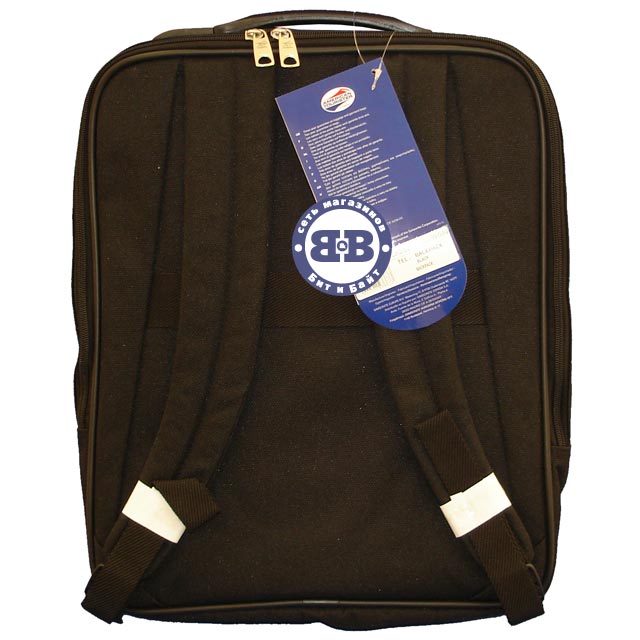 Сумка-рюкзак для ноутбука Samsonite A87/039/09 Картинка № 2