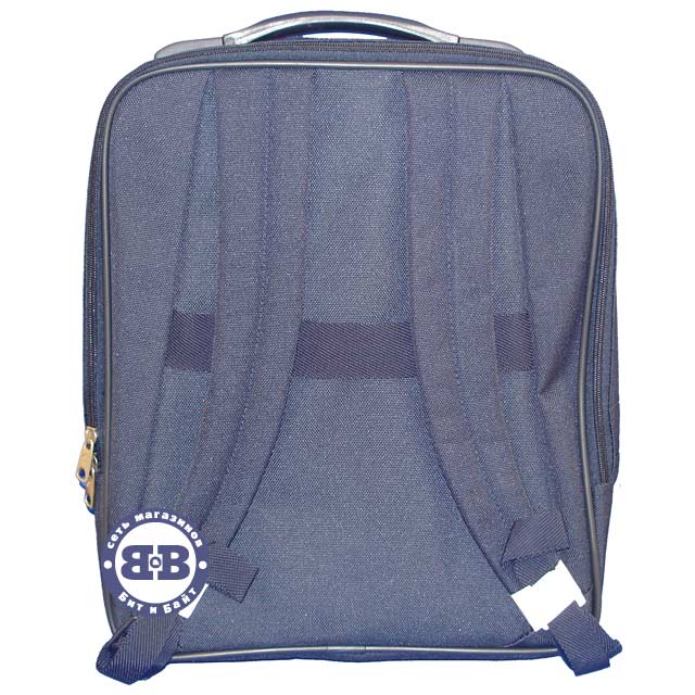 Сумка-рюкзак для ноутбука Samsonite A87/039/41 Картинка № 2