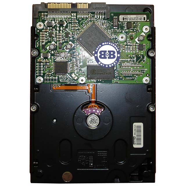 Жёсткий диск HDD Seagate 300Gb ST3300831AS 7200rpm 8Мб SATA 3,5 дюйма Картинка № 2