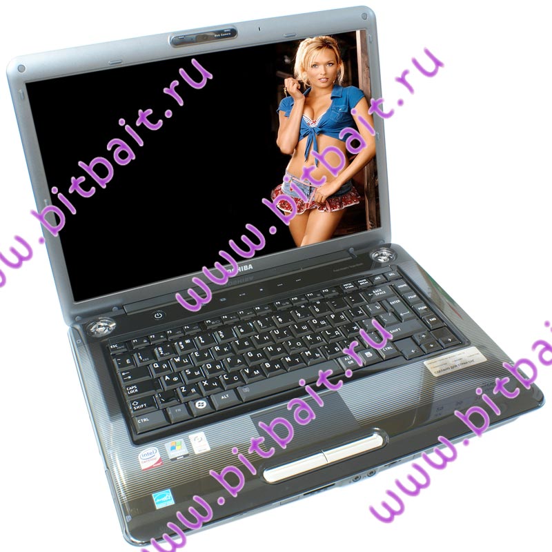 Ноутбук Toshiba Satellite A300-1EB T2390 / 2048Mb / 250Gb / DVD±RW / intel X3100 358Mb / Wi-Fi / BT / 15,4 дюйма / WVistaHP Картинка № 1