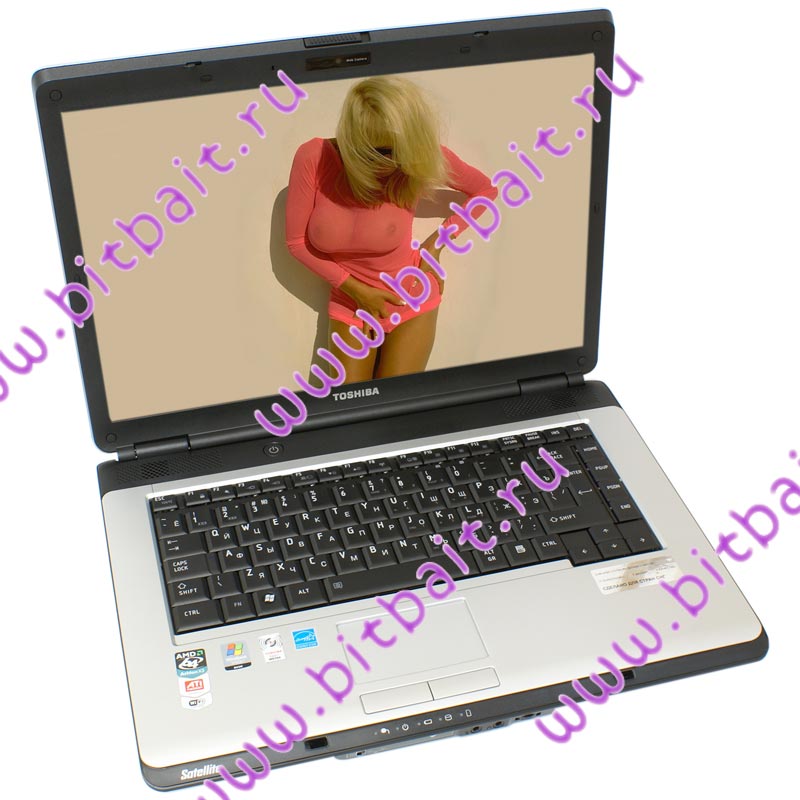 Ноутбук Toshiba Satellite L300D-11M Athlon QL60 X2 / 2048Mb / 160Gb / DVD±RW / ATI 3100 / Wi-Fi / 15,4 дюйма / WVistaHP Картинка № 1