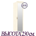 Александрия ЛД-625-040М+002 Шкаф одностворчатый с зеркальной дверью