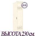 Александрия ЛД-625-040М+001 Шкаф одностворчатый с глухой дверью