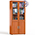 Шкаф для книг со стеклом С-МД-2-03 цвет вишня