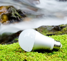 Все преимущества экологических источников света