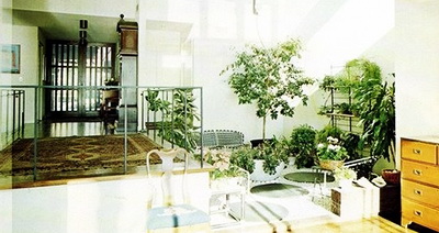 Зелёные квартиры с растениями