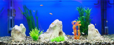 Аквариумный декор из того что имеется