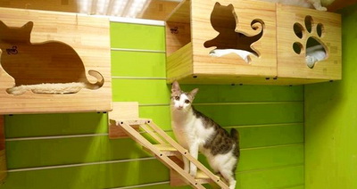Как смастерить кошачье жилище своими руками