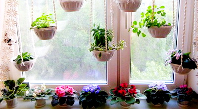 Идеи размещения цветов в квартире