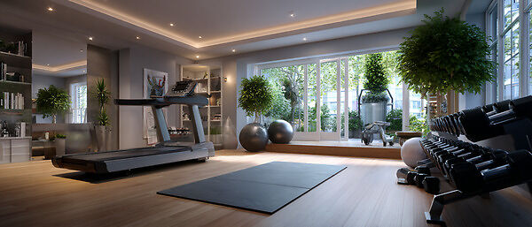 Как организовать полноценный фитнес-клуб у себя дома и гармонично вписать тренировки